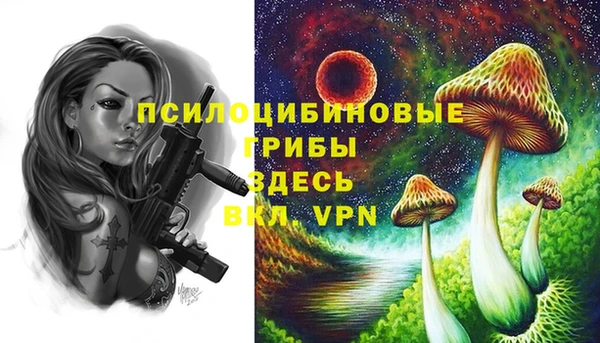 скорость Горнозаводск
