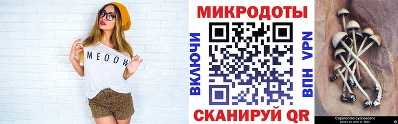 Псилоцибиновые грибы мухоморы  даркнет наркотические препараты  Иваново  как найти закладки 